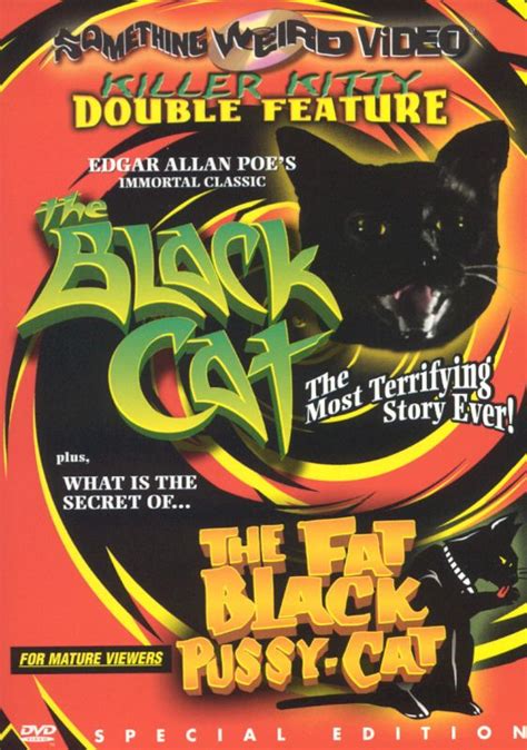 fat pussycat|Lost City: The Fat Black Pussycat, Then and Now .